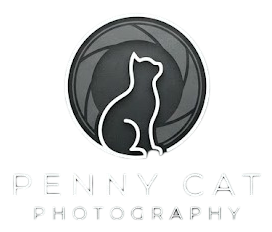 Penny Cat Photography